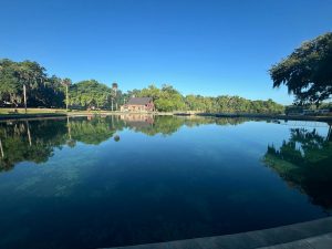 De Leon Springs Sunny Day Earth Day