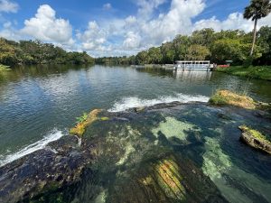 De Leon Springs May
