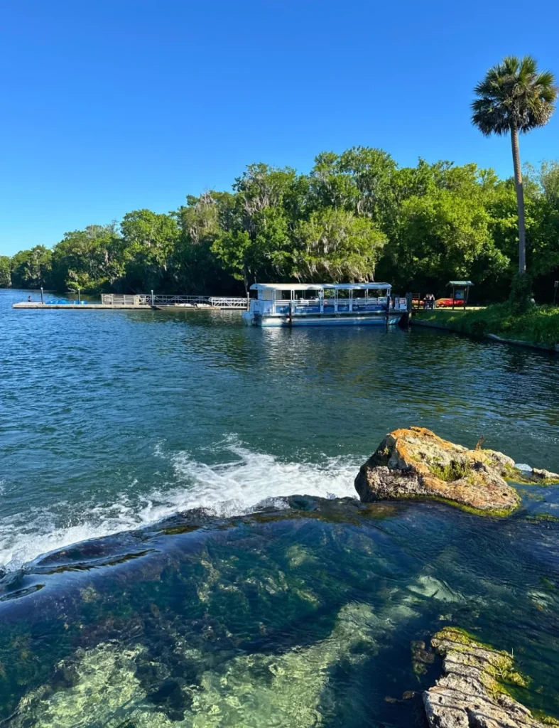 Things to do near Orlando