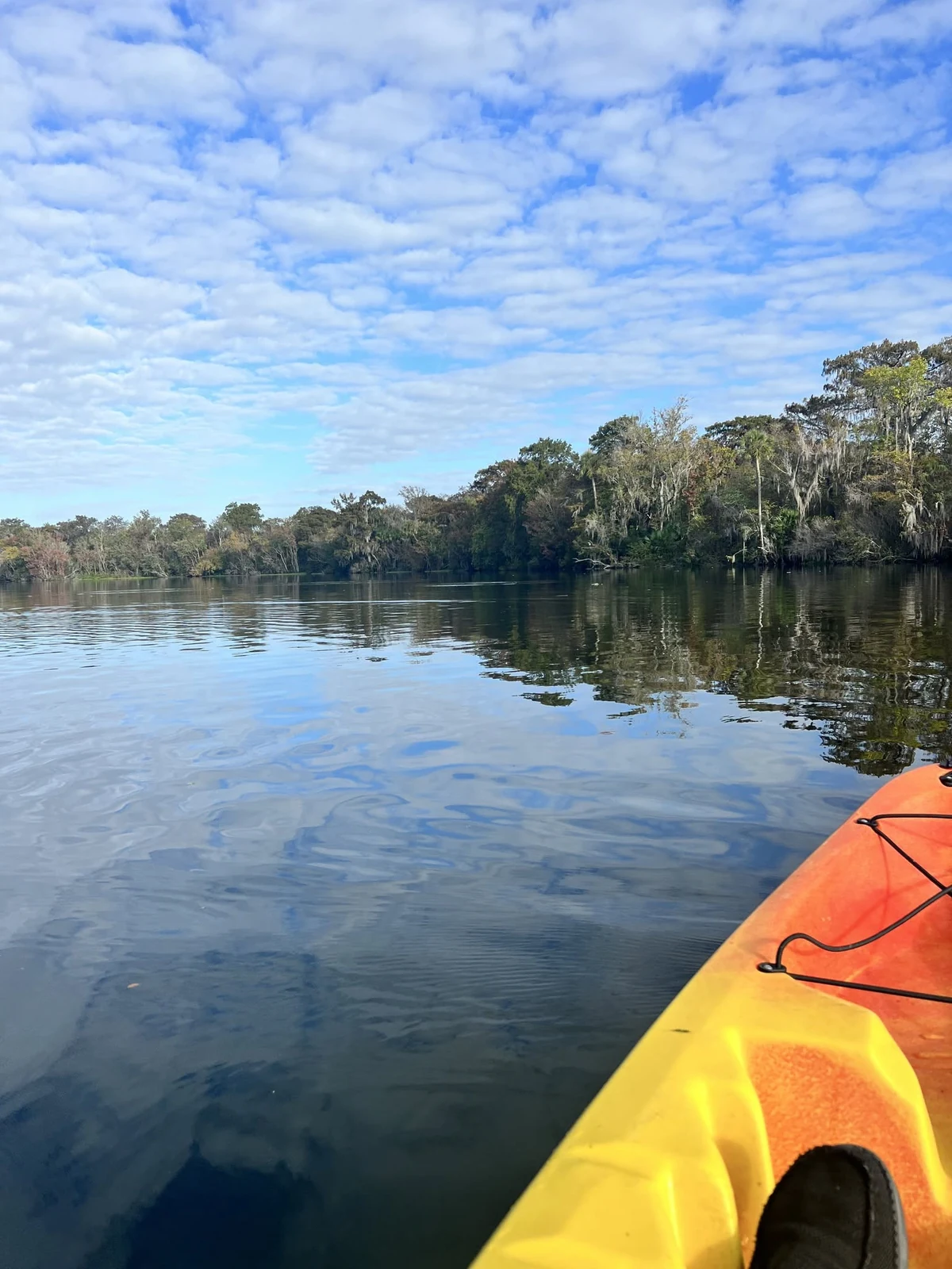 Things to do at De Leon Springs in June